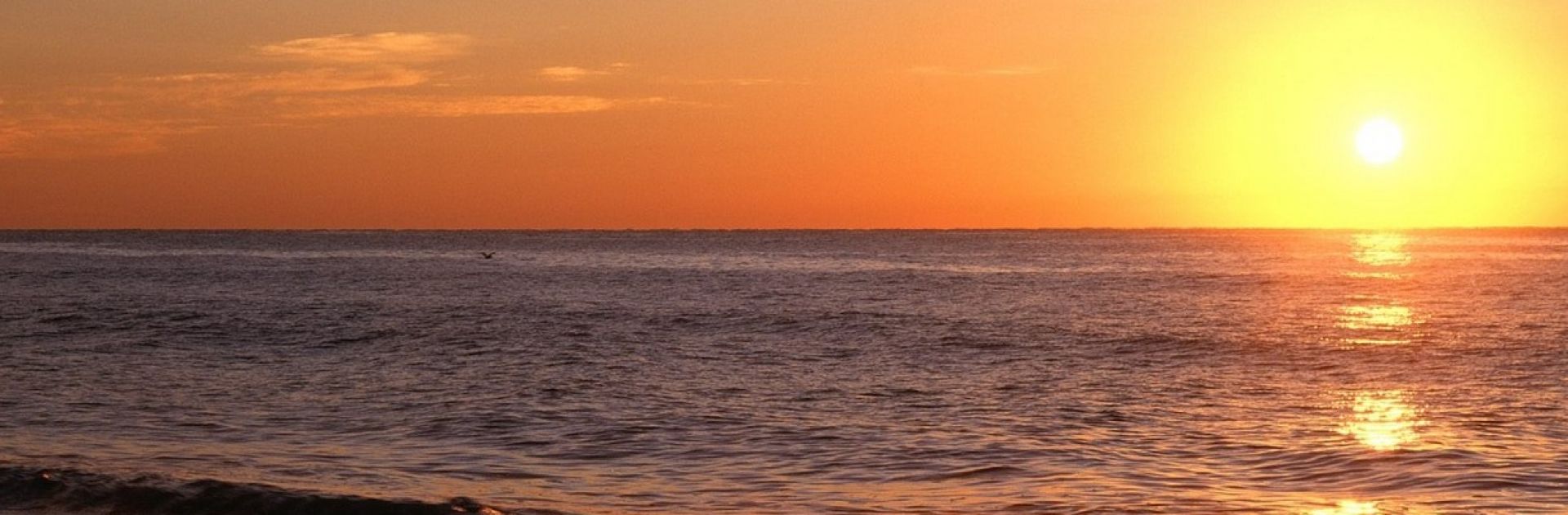 Il primo giorno della settimana...