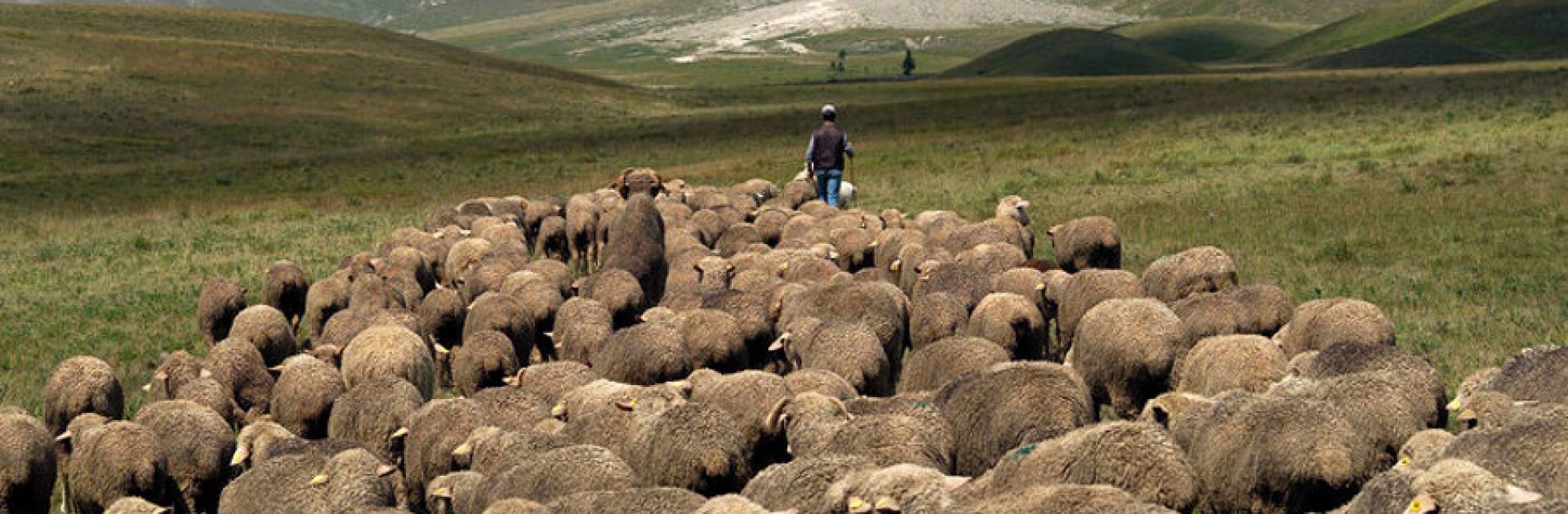 Come i Pastori, disponibili all'Ascolto!