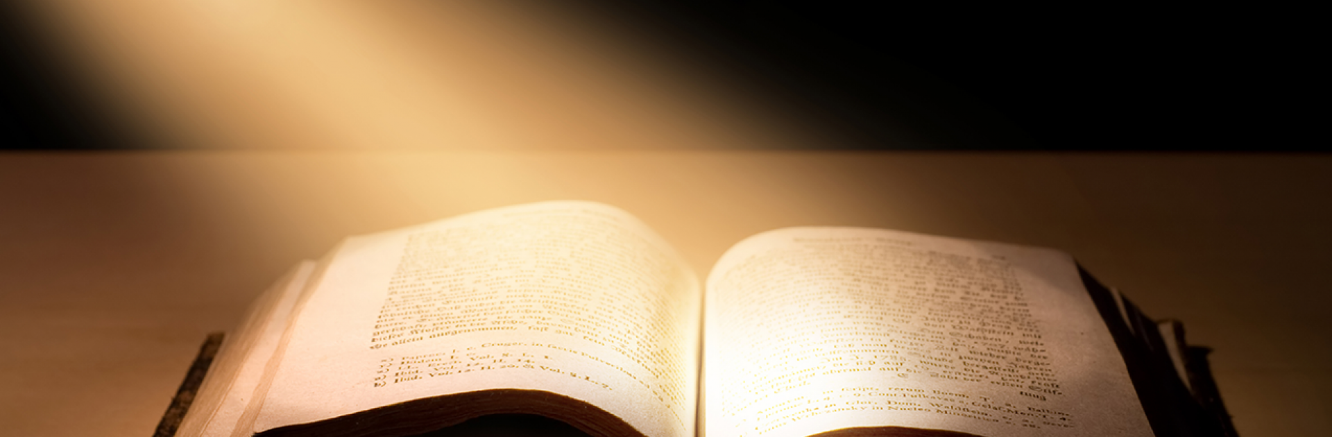 Predicate il vangelo ad ogni creatura